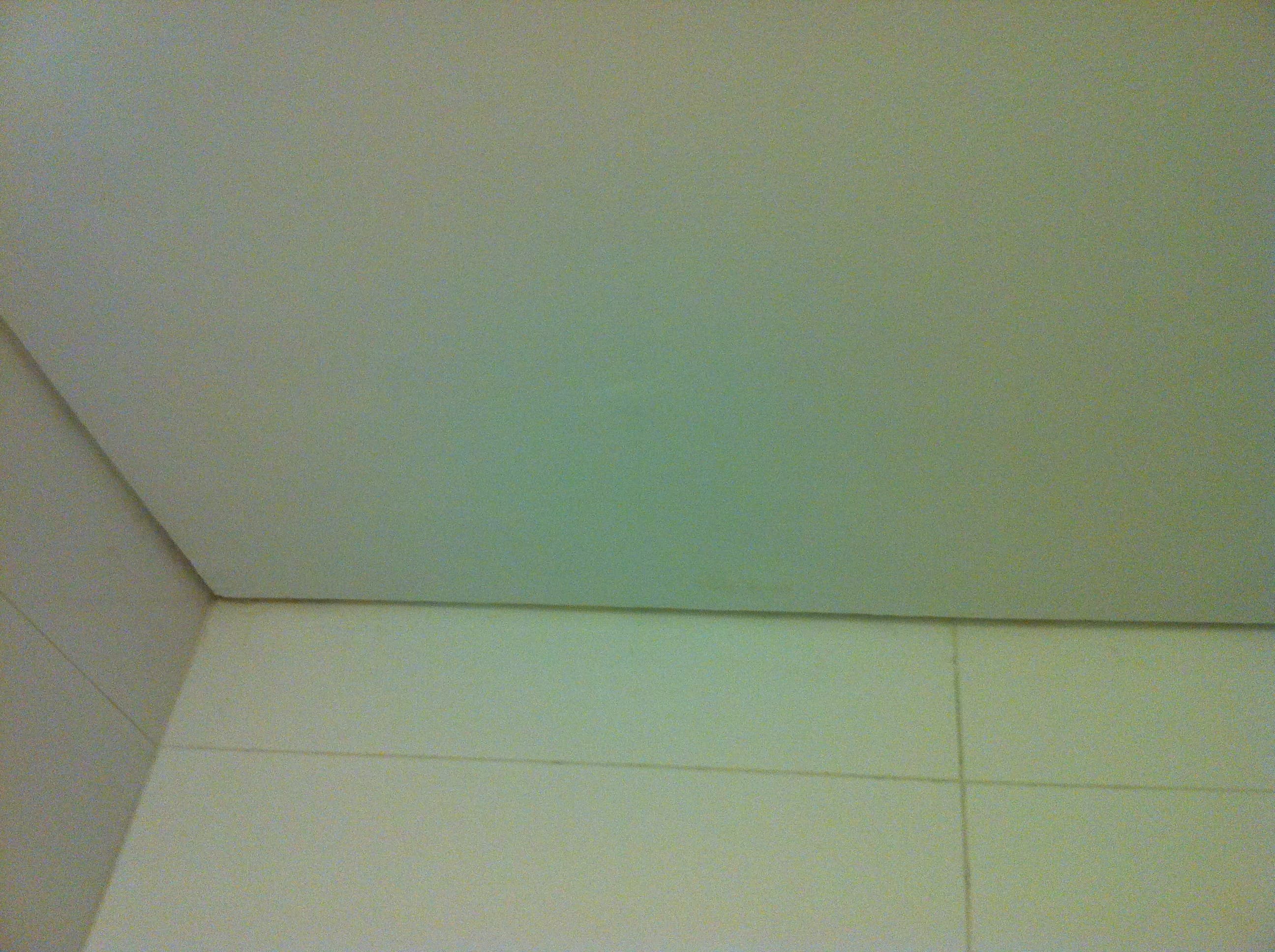 Clean restored ceiling after mould-damaged ceiling repainting in a Sydney property