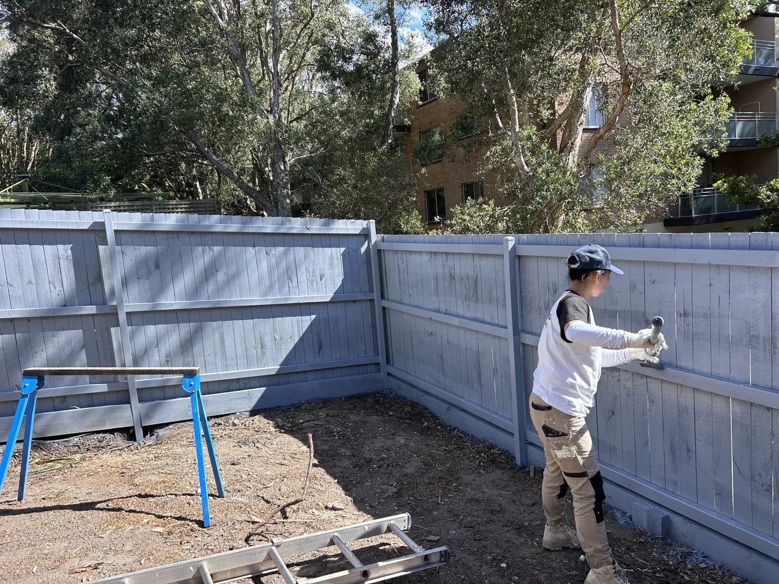 Timber fence being painted in North Willoughby