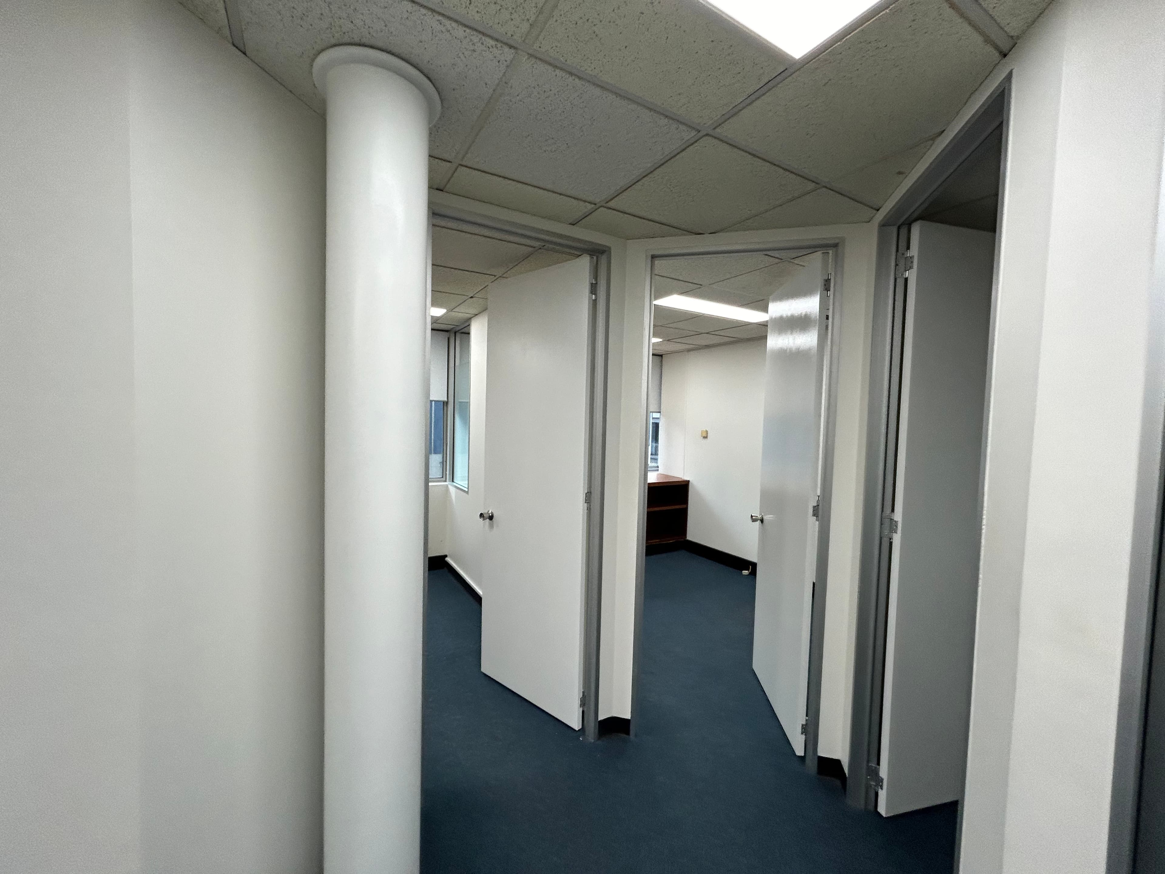 Chatswood office hallway with white doors and painted walls after repainting
