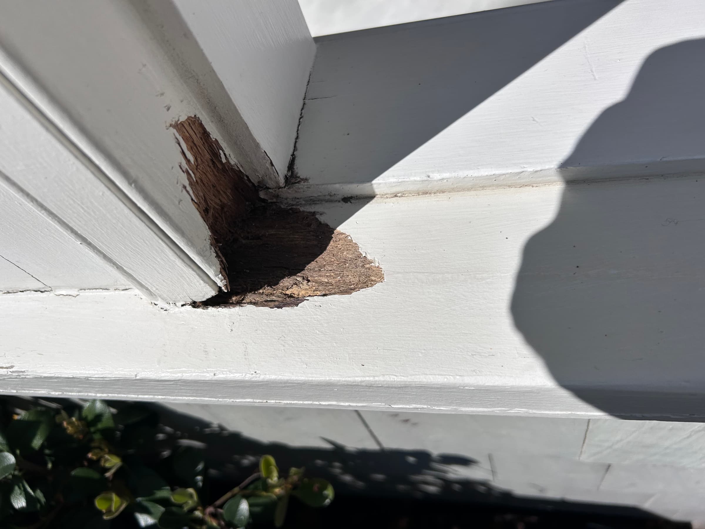 Chatswood timber window corner with localised deterioration before repair