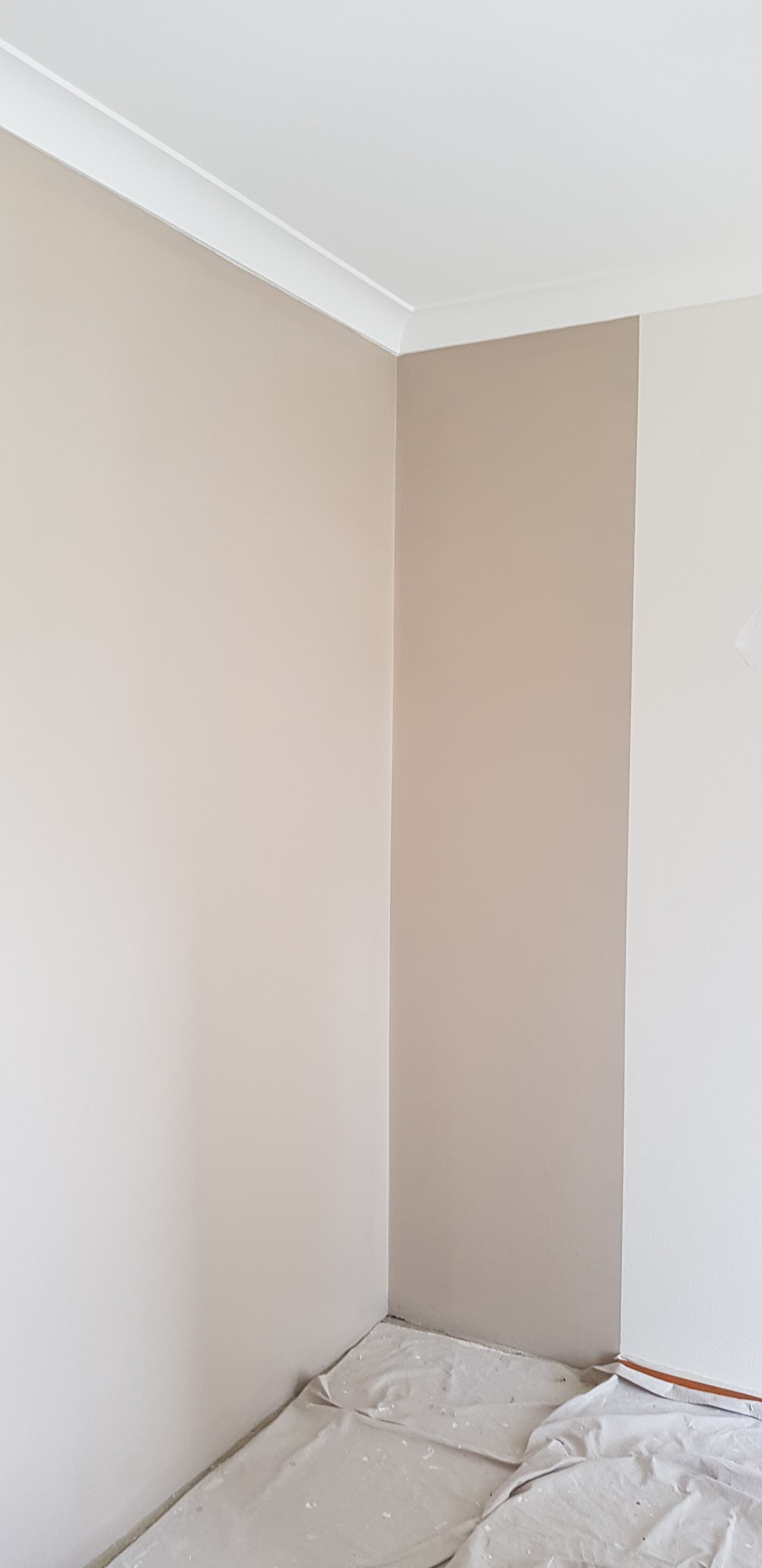 North Ryde corner wall and ceiling line after interior repainting