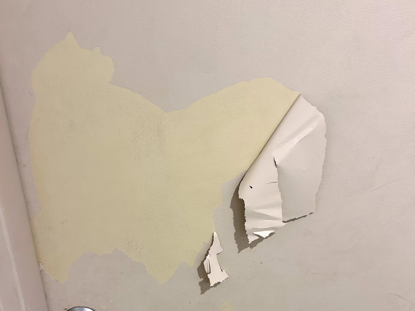 Topcoat peeling from a door and exposing the earlier coating
